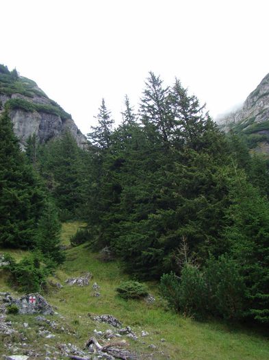 DSC00581 - Concediu 2013
