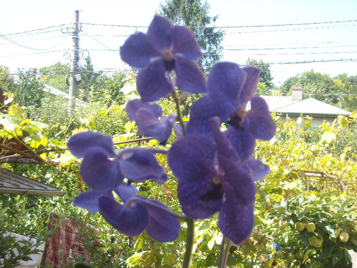 DSCN4171