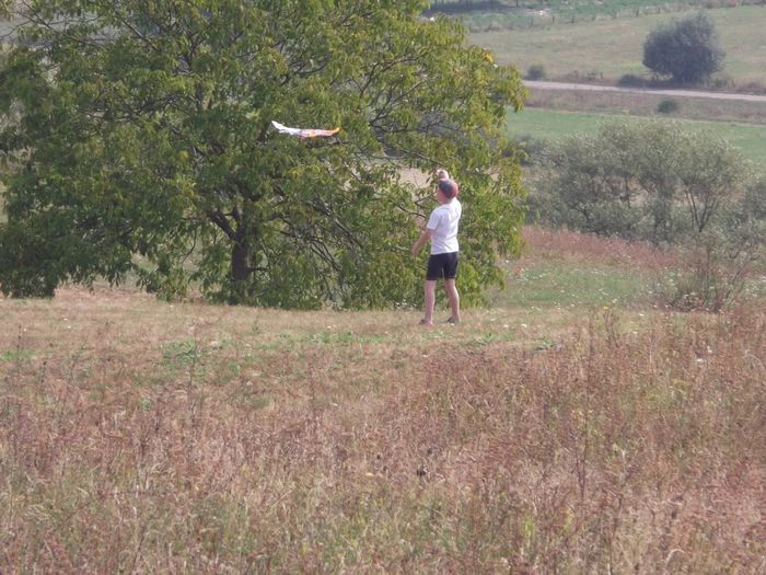 Picture 833 - NEPOTII IN TIMPUL LIBER