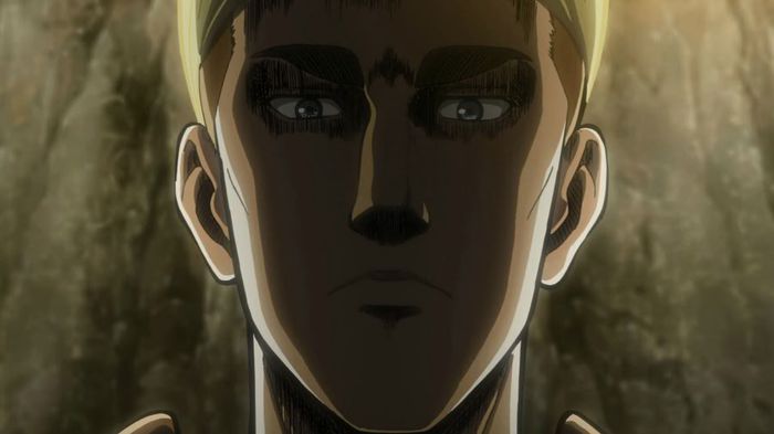 erwin 6
