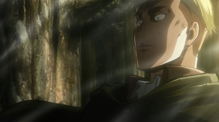 erwin 8