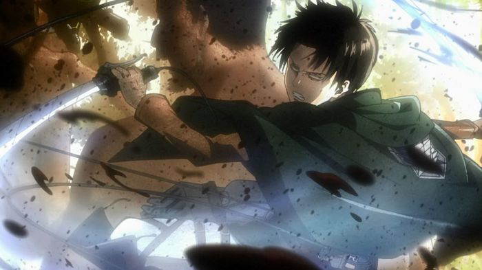 levi 25