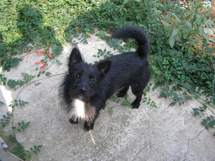 Bubu (7 luni) - alte chestii