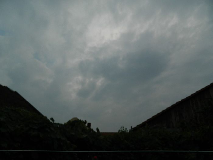 DSCN0609 - AUGUST 2 2013