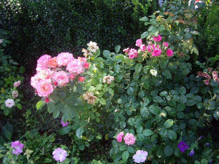 sfirsit de August