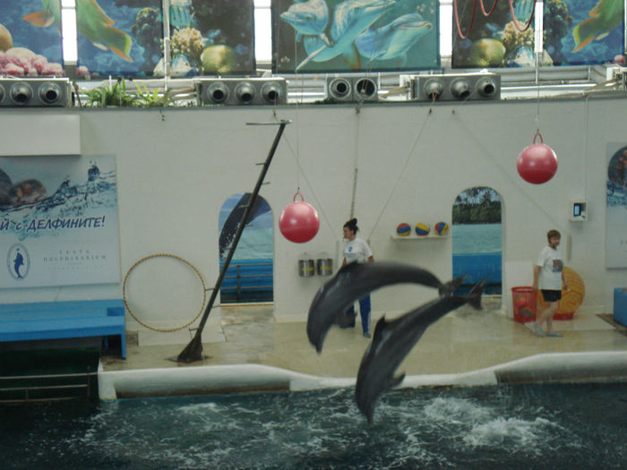 DSC03742 - Vacanta 2013