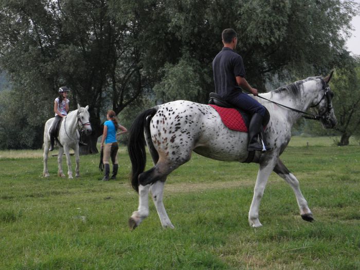 DONA  IAPA  APPALOOSA