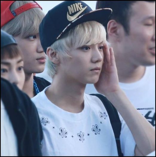 (LH) .. - WOLF - .. :)) ..