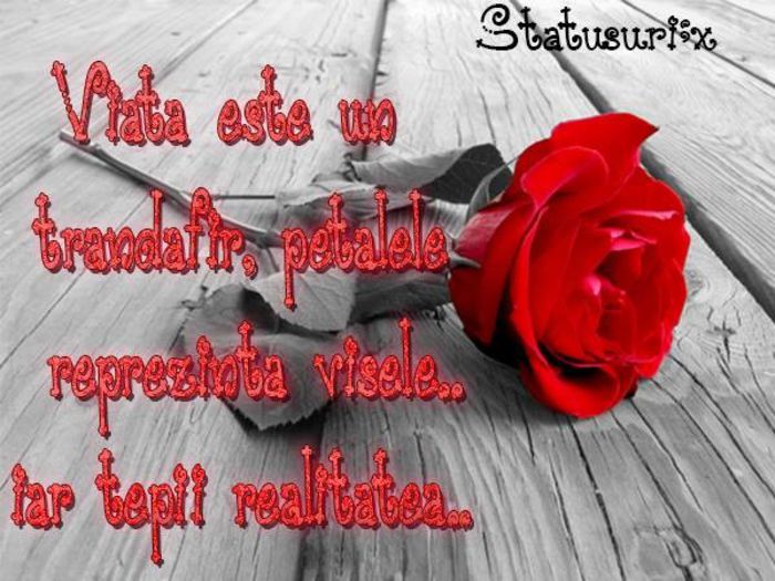 1151009_581916441845208_518020842_n