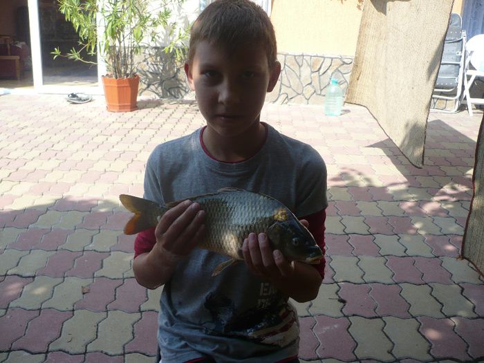 P1140684; CRAPUL PRINS LA OLT DE CIPRIAN
