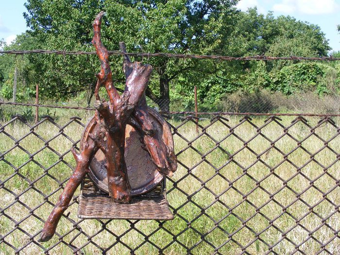 creanga aiuristica din parcul Dendrologic - C1 O oaza de liniste si relaxare