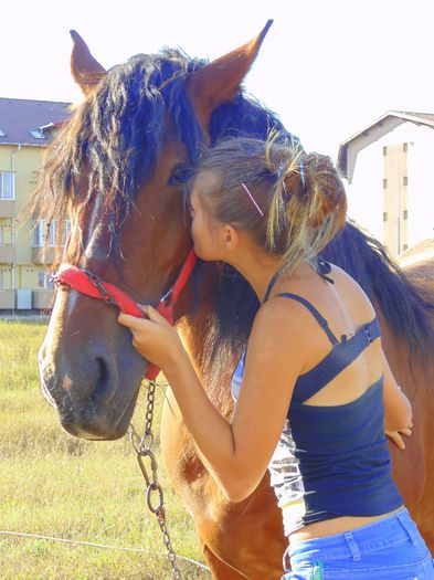 DSC07736 - Fotografii cu cai din Romania
