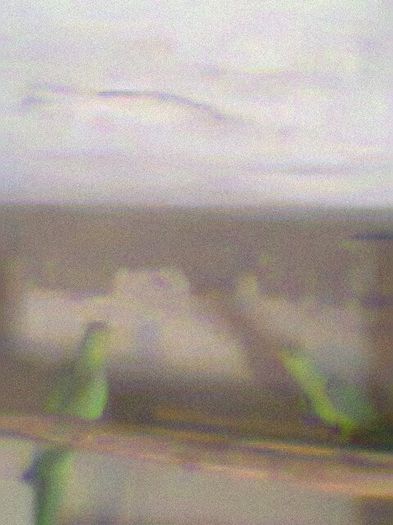 Fotogr.0513 - micu alx