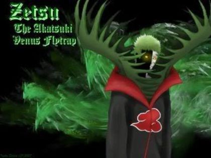 Zetsu - 24 Organizatia Akatsuki