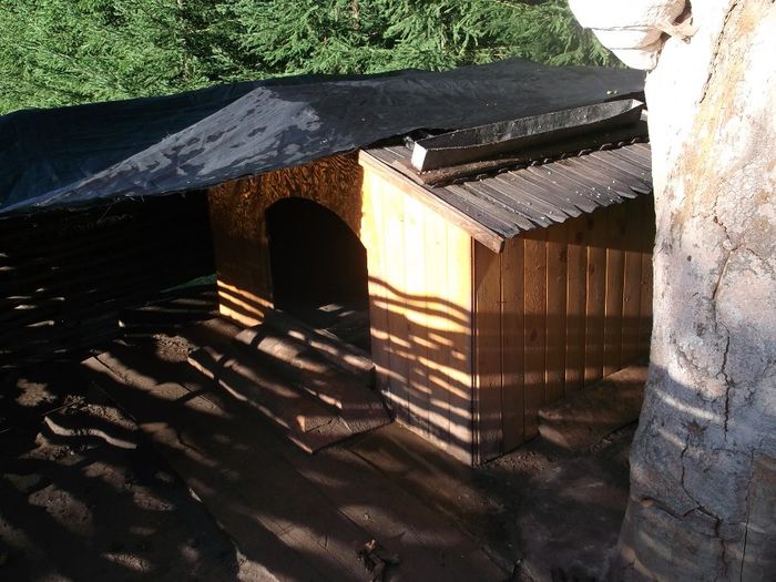 INTERIORUL "DOMENIULUI " CANIN