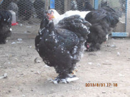 92354028_DYKHYPY