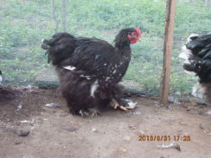 92354080_MTIOGWP3