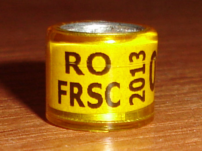 R0MANIA 2013 frsc - F R S C