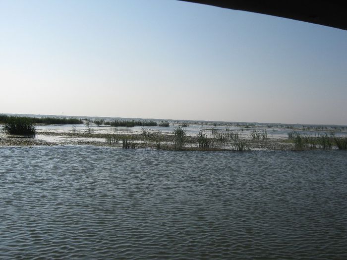 Delta Sulina