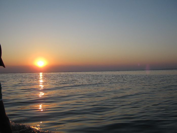 Sulina Delta