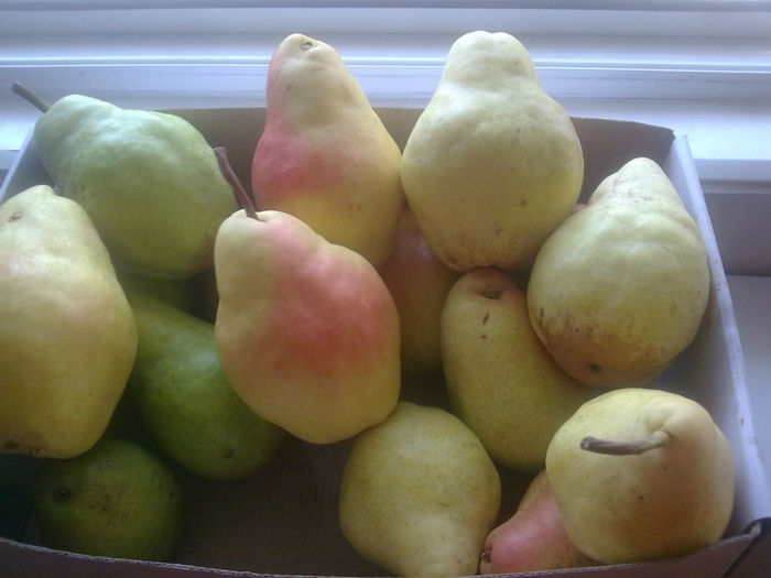 Imagine1309; cu atatea am mai ramas dupa impartire... dar din dar se face rai
