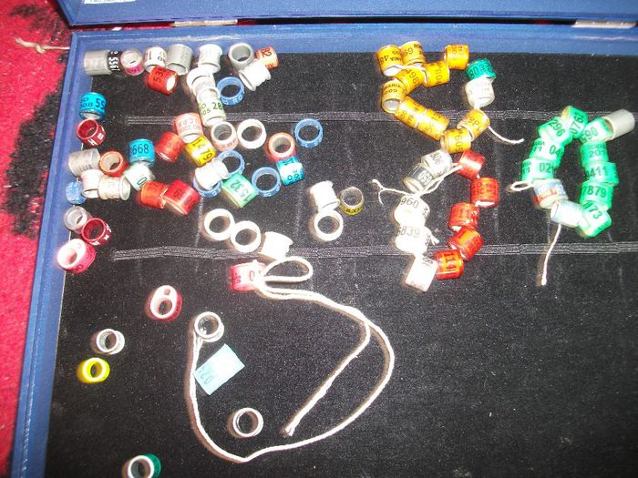 DSCF1580 - INELE DE COLECTIE