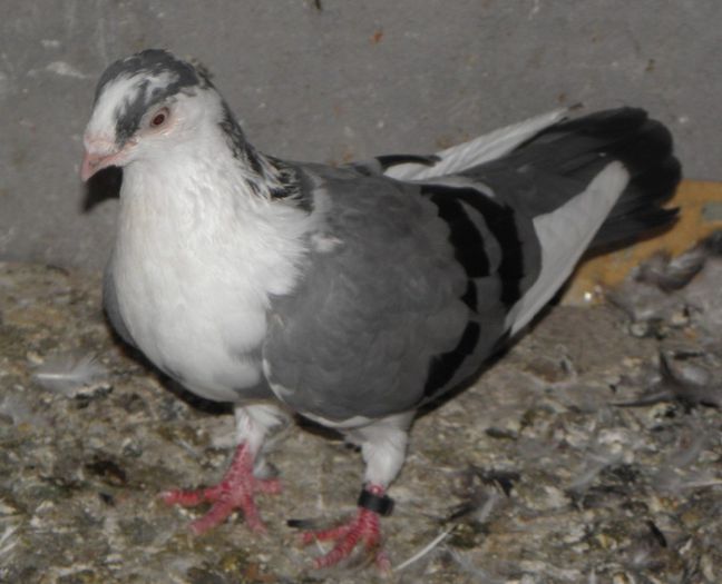 P9010198