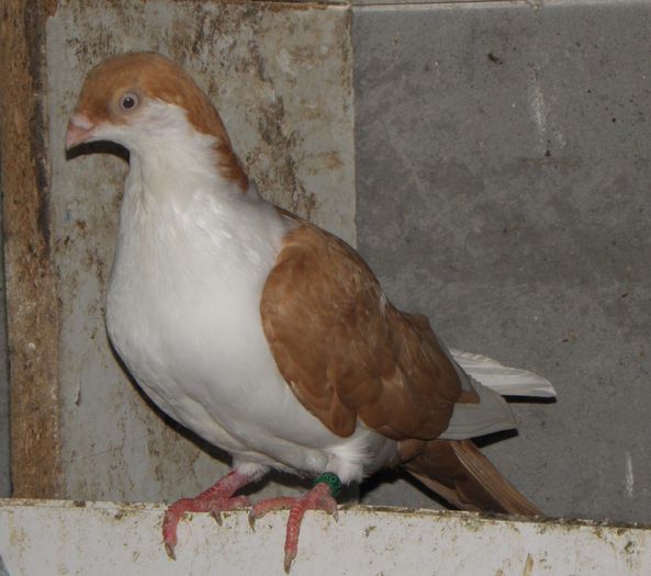 P9010122