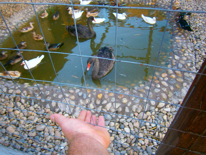 NE ACOMODAM USOR USOR