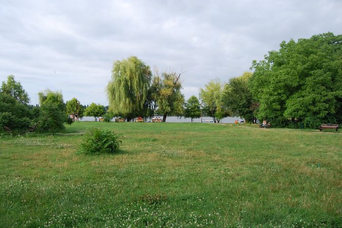 DSC_6014