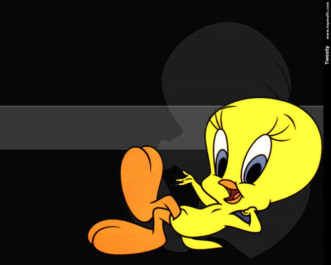 Tweety-Bird-Wallpaper-tweety-bird-6041231-1280-1024 - Tweety