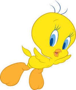 index - Tweety