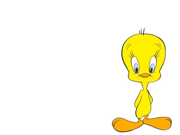 Tweety-warner-brothers-animation-71684_1024_768