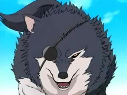 Kuromaru Inuzuka - 16 Clanul Inuzuka