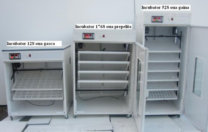 Incubatoare; Incubatoare automate
