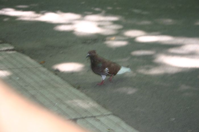 Изображение 177