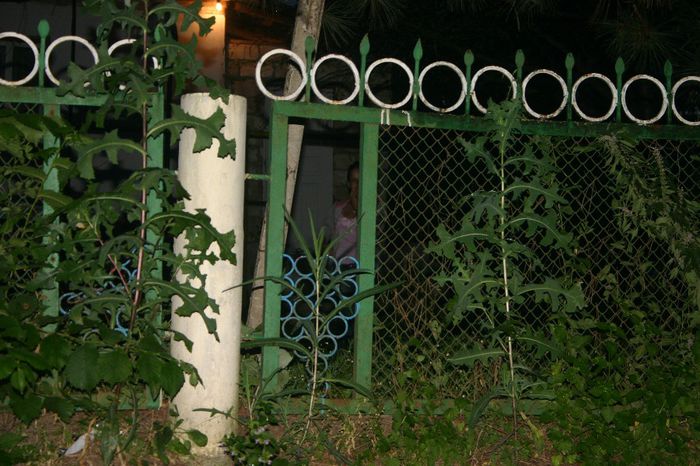 Изображение 210 - Romanesti