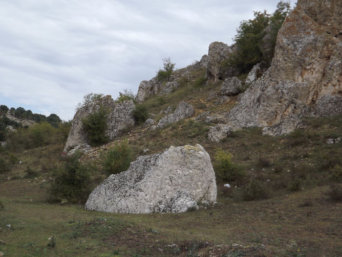 DSCF1624