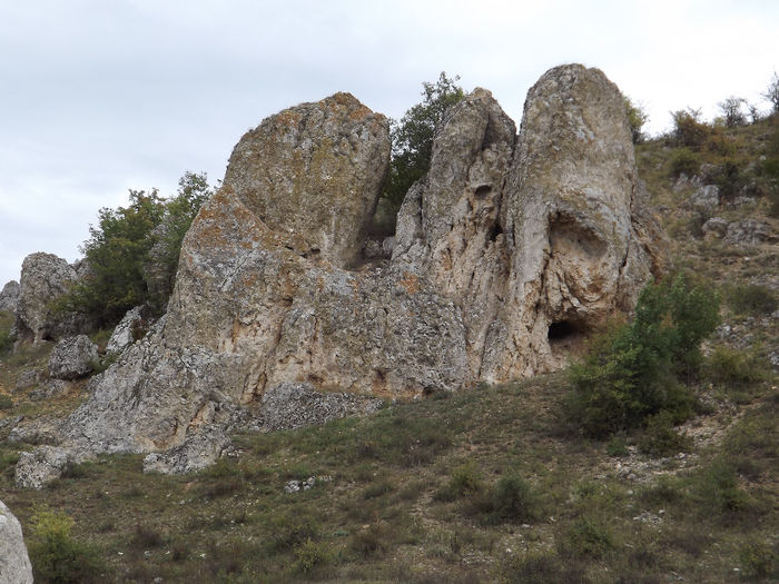 DSCF1625