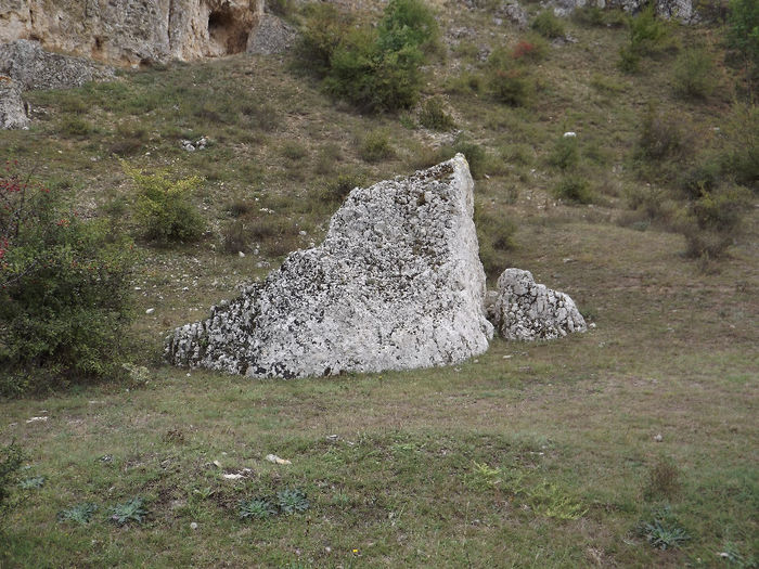 DSCF1630