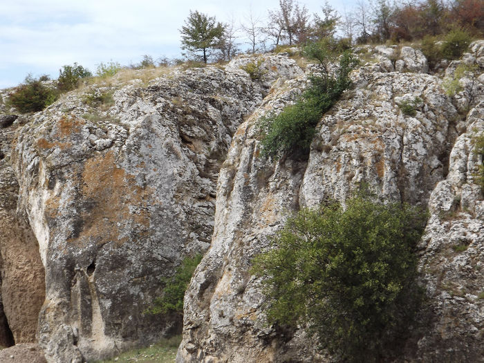DSCF1646