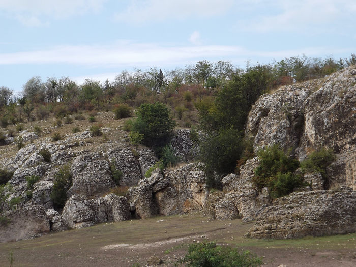 DSCF1647