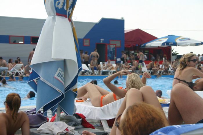 Изображение 504 - Bazin