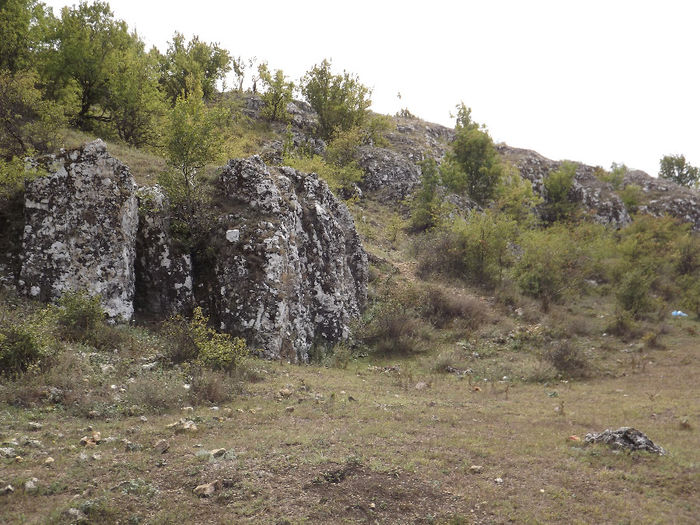 DSCF1659