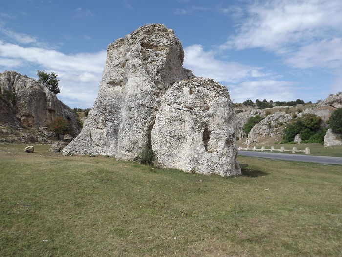 DSCF1677 - In natura