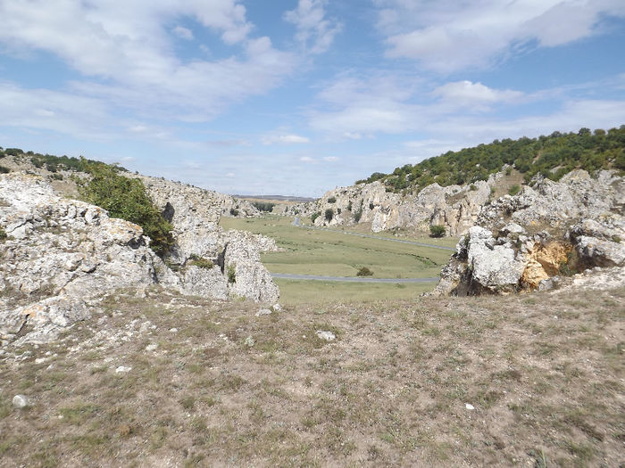 DSCF1736 - In natura