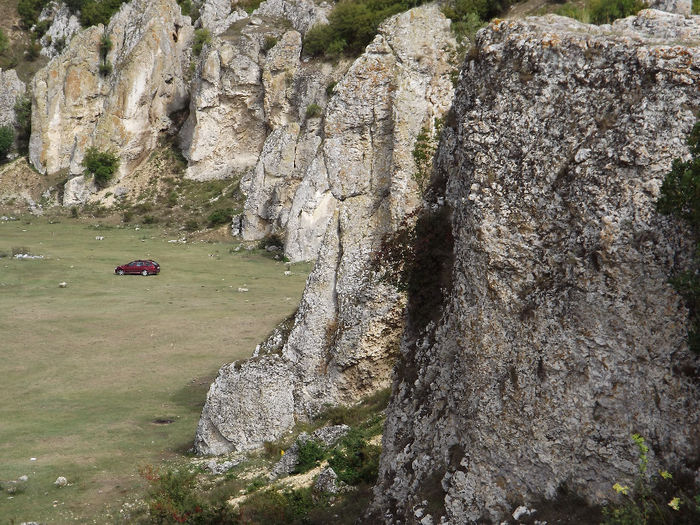 DSCF1756 - In natura