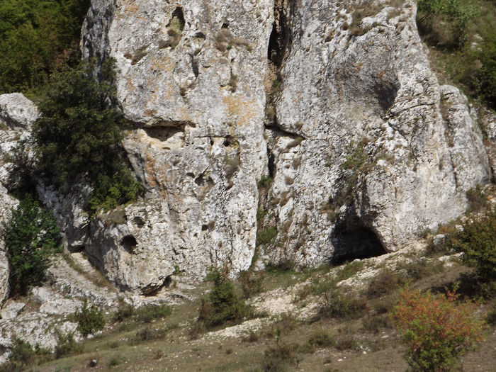 DSCF1799 - In natura