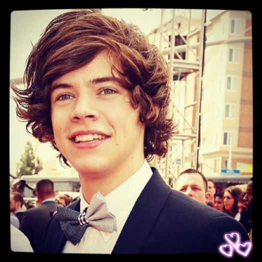 ♥This♥Is♥Love♥ - l - o Facts about Harry Styles