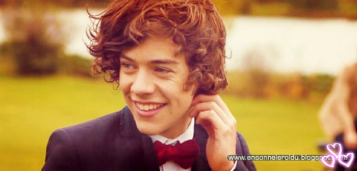 ♥This♥Is♥Love♥ - l - o Facts about Harry Styles